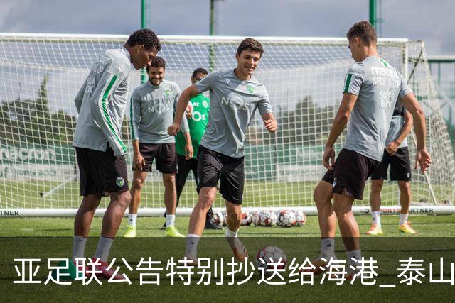 亚足联公告特别抄送给海港 泰山队尚有上诉可能